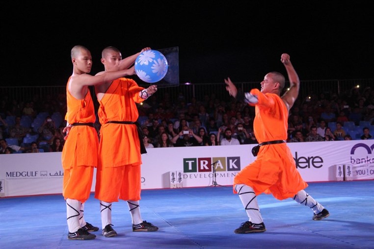 Martial Arts Festival